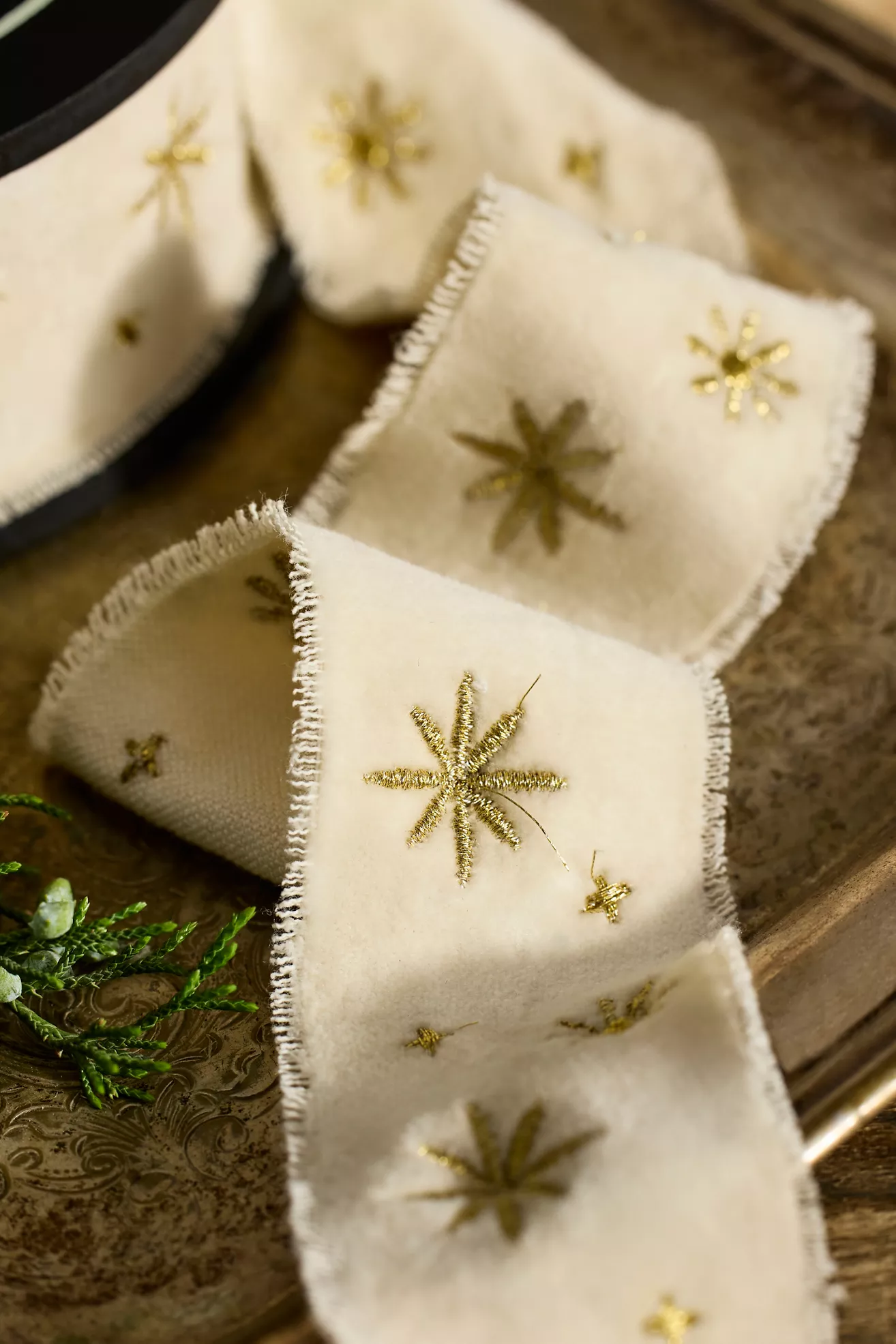 Terrain Celestial Embroidered Velvet Ribbon - thumbnail 2