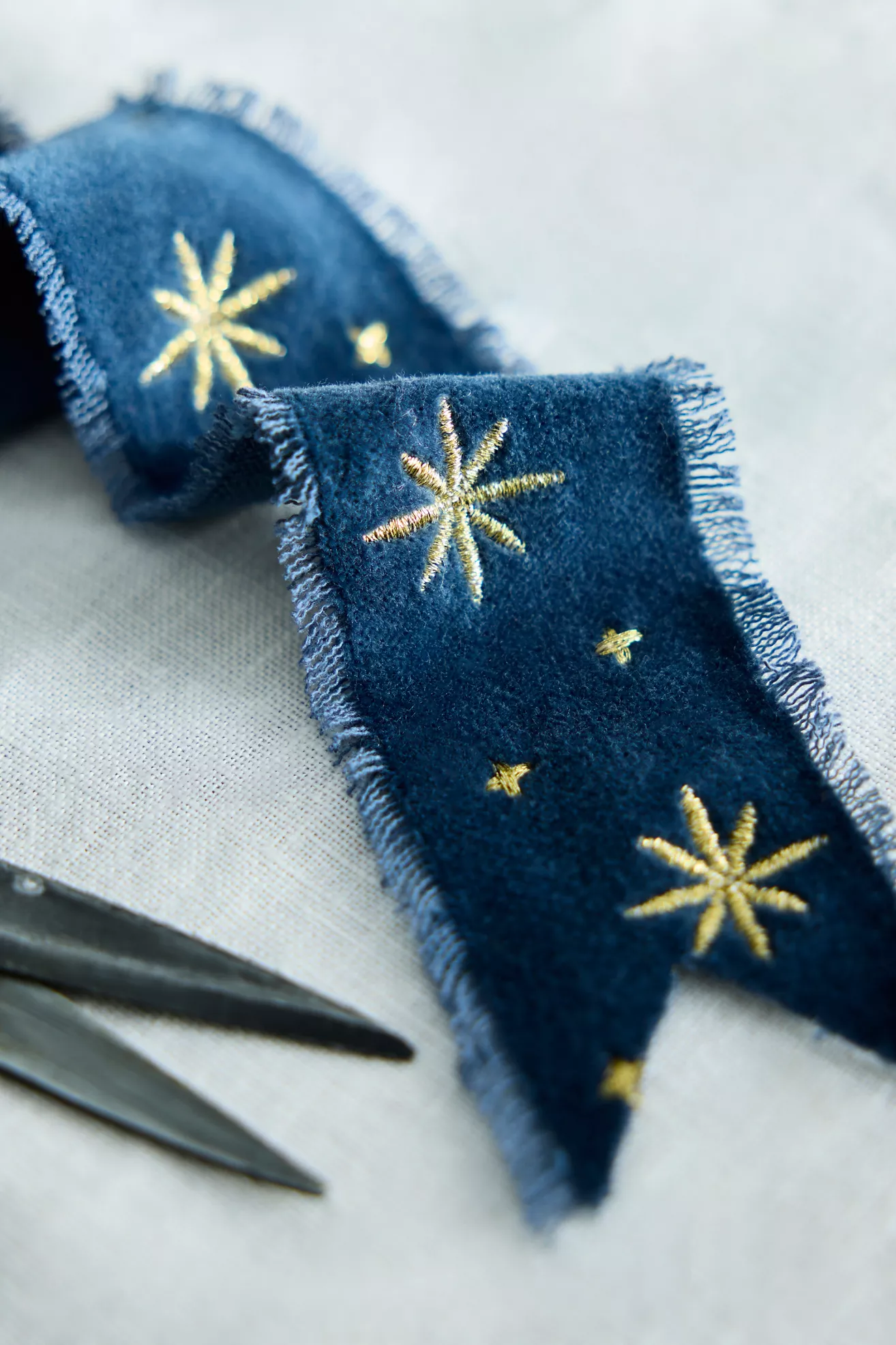 Terrain Celestial Embroidered Velvet Ribbon - thumbnail 4