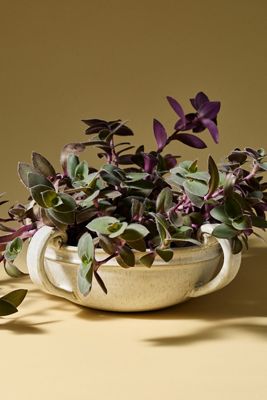 Pipen Ceramic Centerpiece