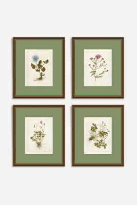 Classic Botanical Gallery Wall Art