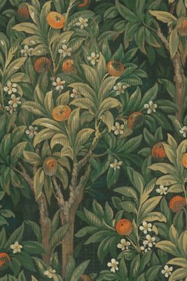 Print Sisters Orange Blossoms Wallpaper