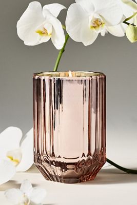 Sabina Floral Orchid & Amber Glass Candle