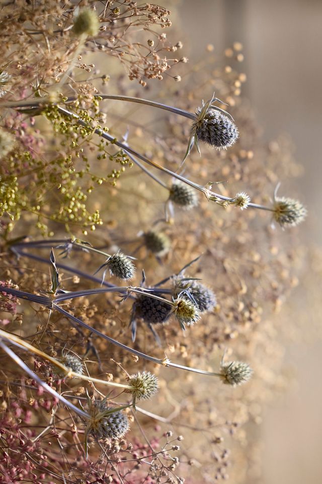 Botanical Monet Dried Wreath #1