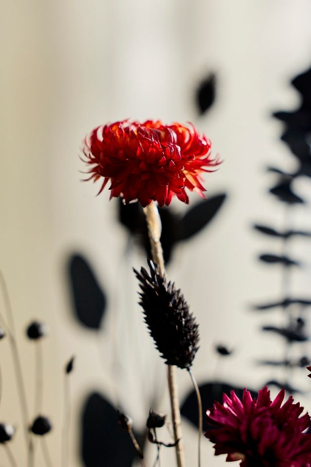 Gothic Garden Dried Bouquet #1