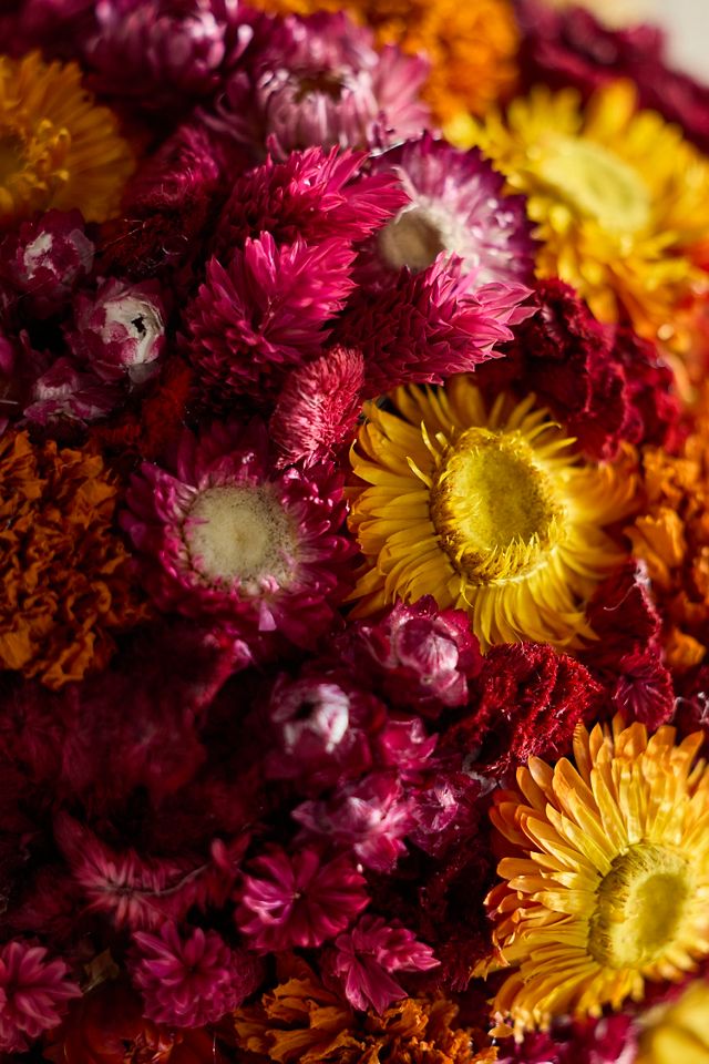 Jewel Tones Dried Floral Sphere #1