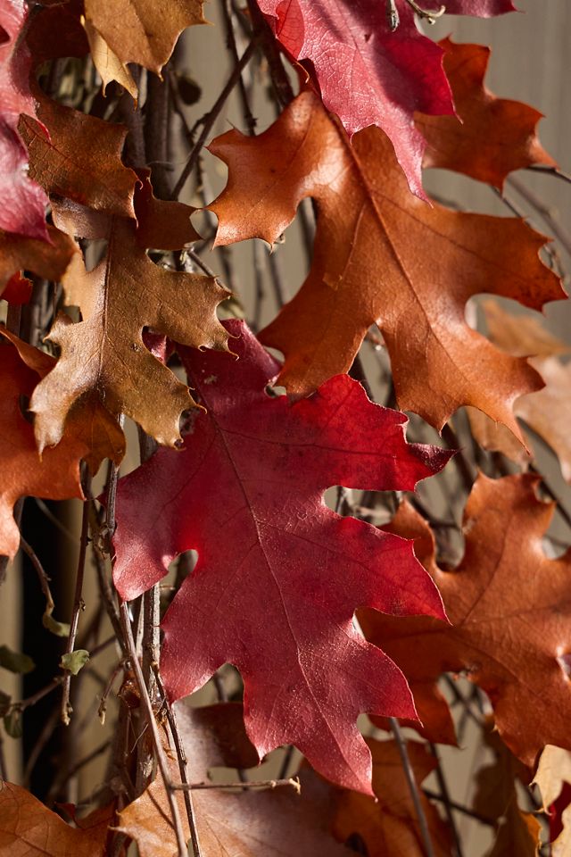 Preserved Colorful Oak Leaf Bunch #2