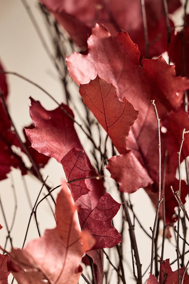 Preserved Colorful Oak Leaf Bunch #2