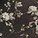 Brown Floral