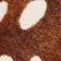 Brown/Offwhite