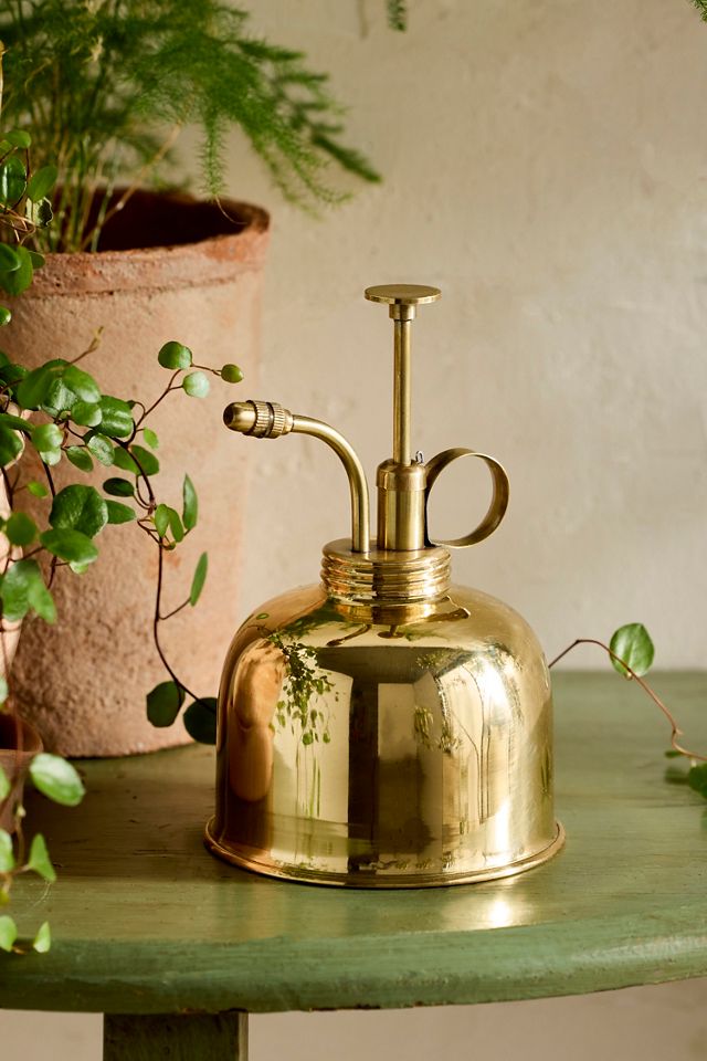 Polished Metal Mister #1