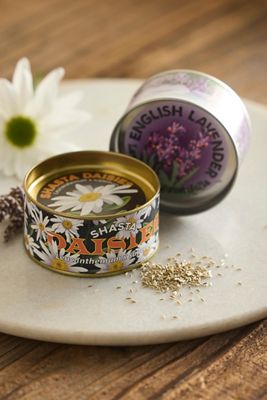 Floral Seed Grow Set