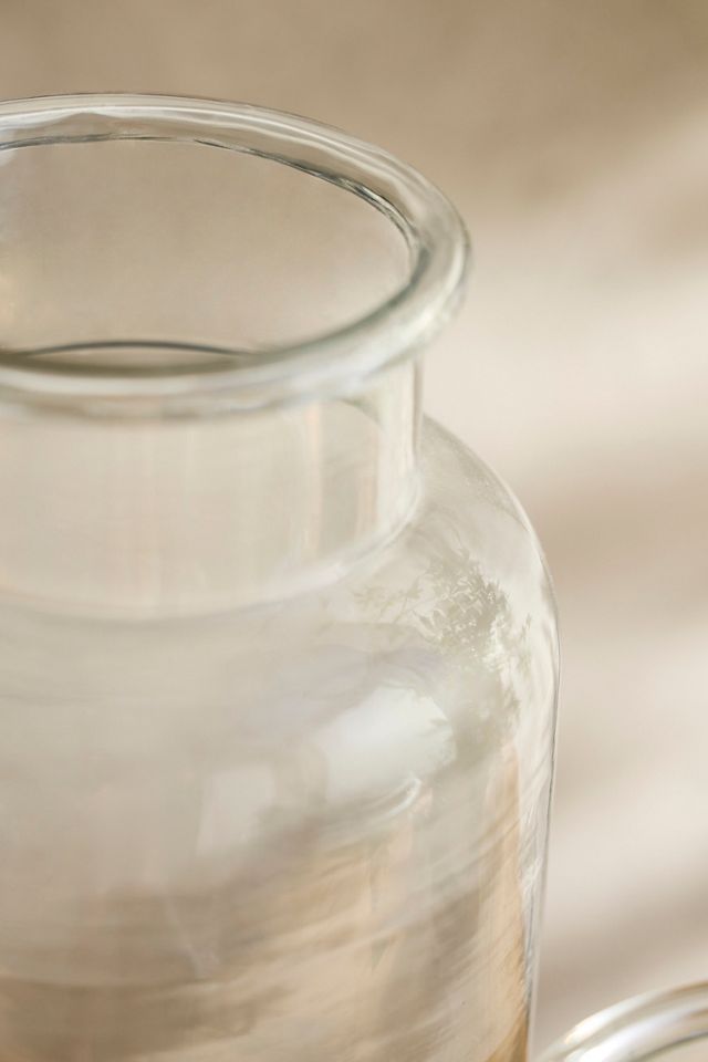 Wide Mouth Jar Terrarium #1