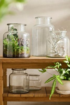 Wide Mouth Jar Terrarium
