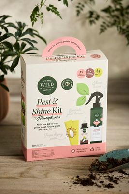 Houseplant Pest + Shine Kit