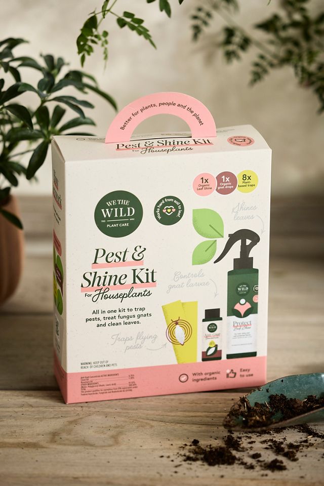 Houseplant Pest + Shine Kit #1
