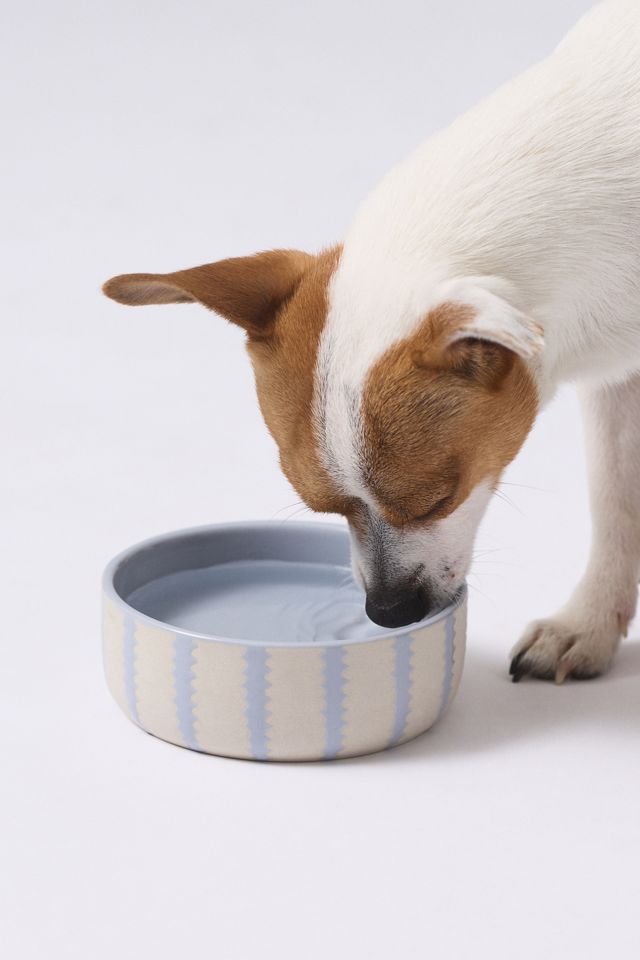 Rounded Scallop Pet Bowl #1