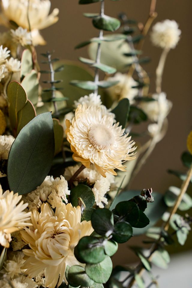 Eucalyptus + Sinuata Preserved Bouquet #1