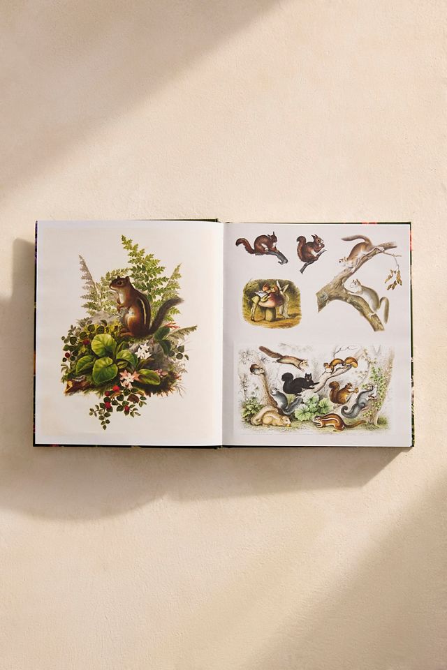 Woodland Adventures Sticker Treasury #1
