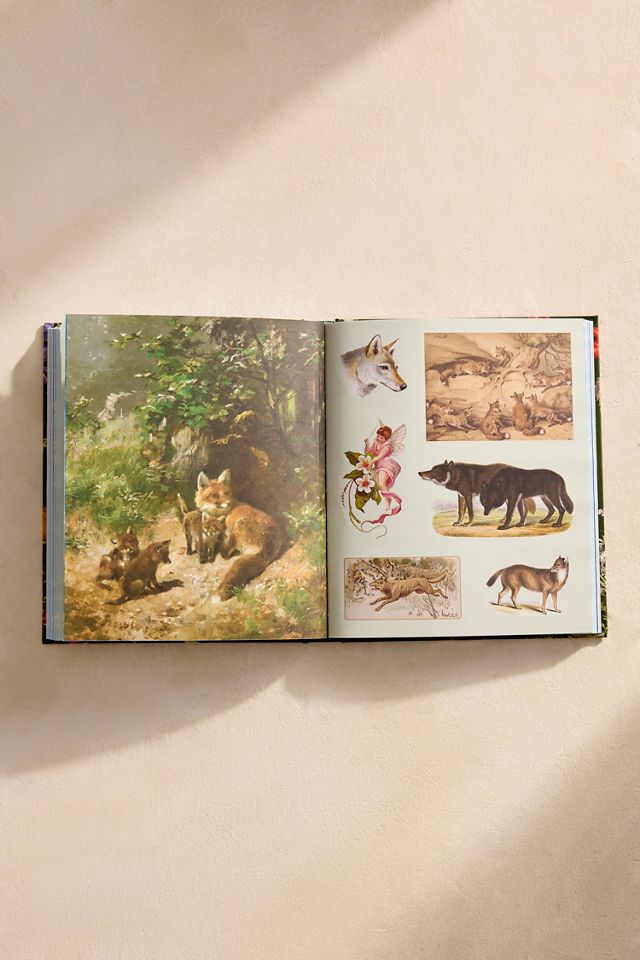 Woodland Adventures Sticker Treasury #2