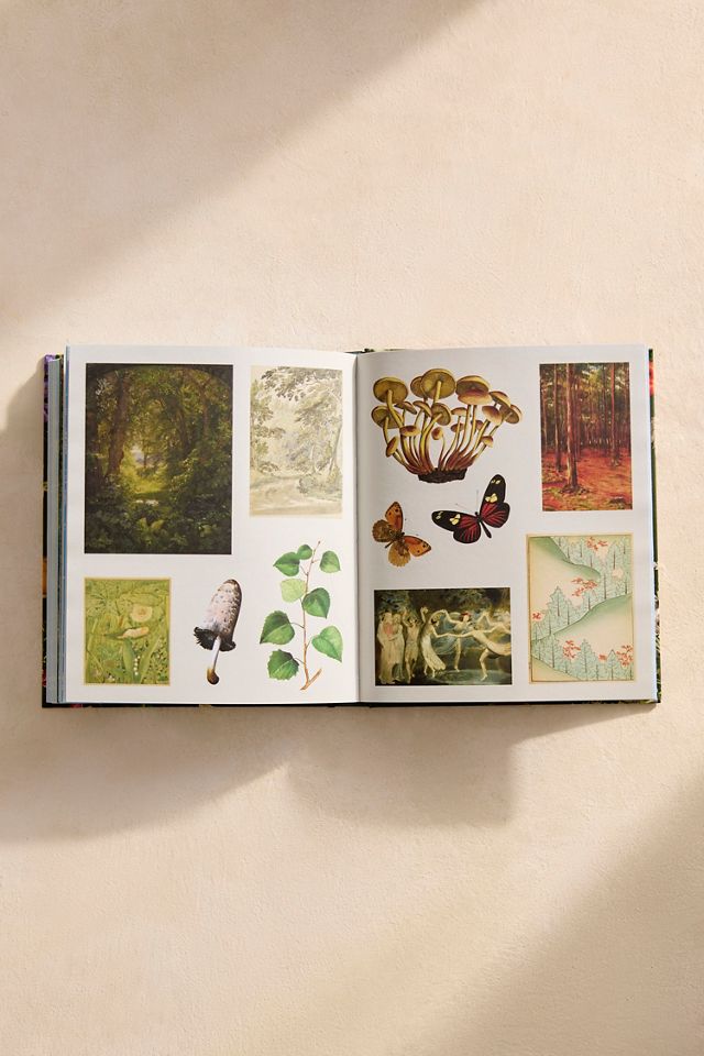 Woodland Adventures Sticker Treasury #3