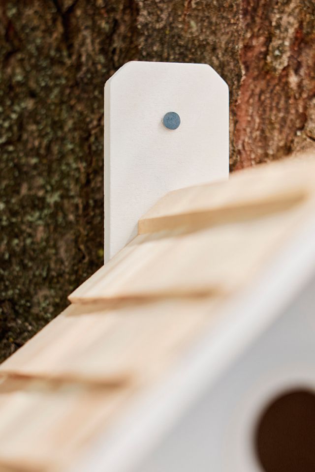 Chalet Birdhouse #3
