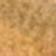 Clear/Gold