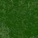 Moss