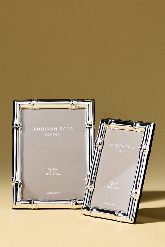 Addison Ross Silver Bamboo Frame #1