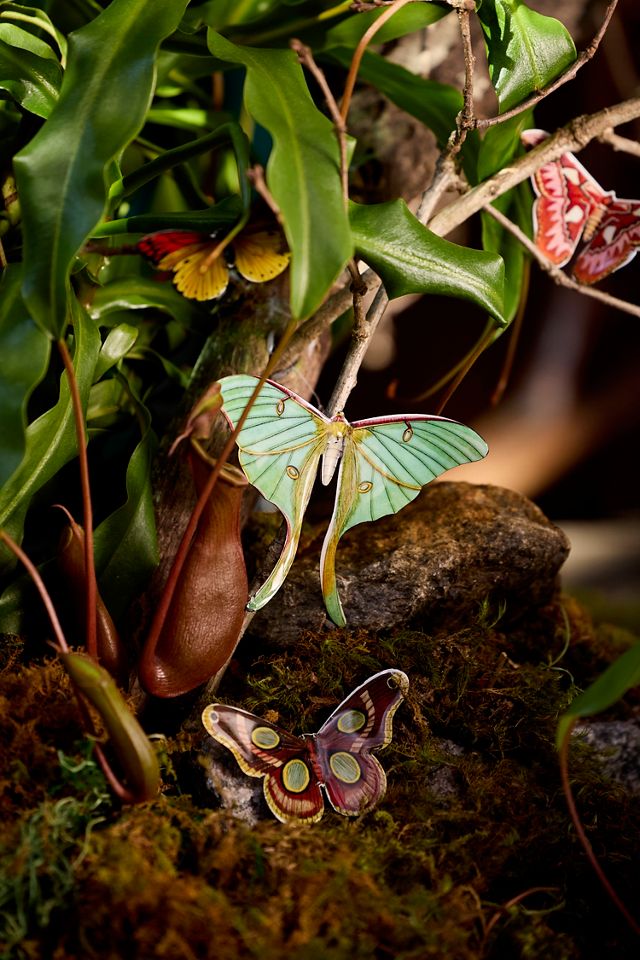 Enameled Iron Butterflies, Set of 7 #2