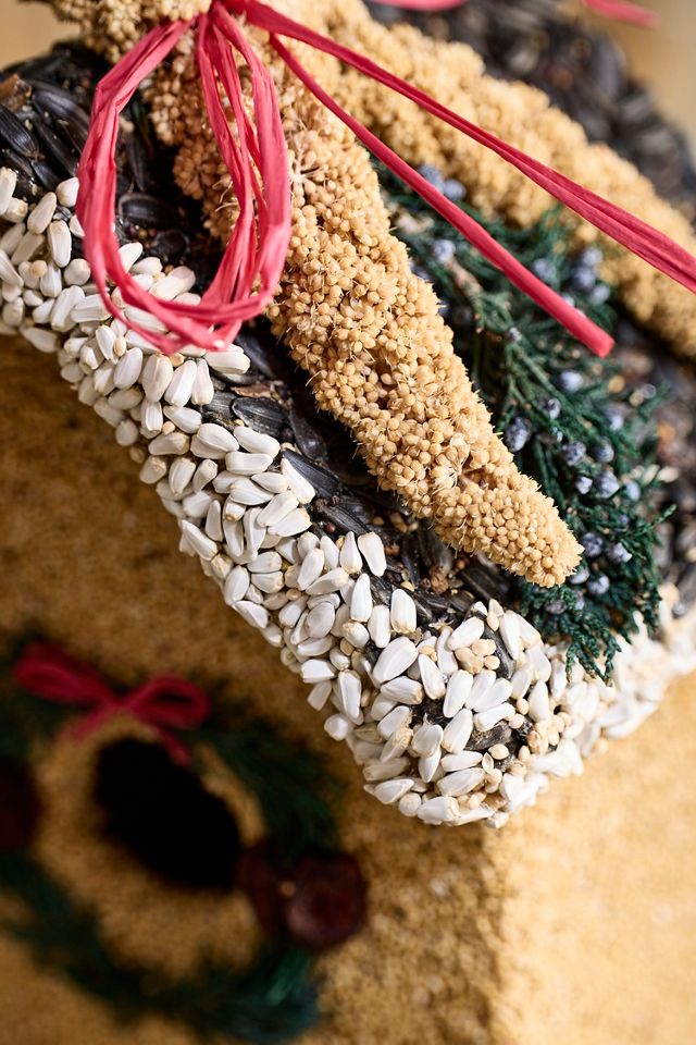 Bird Seed Holiday House #1