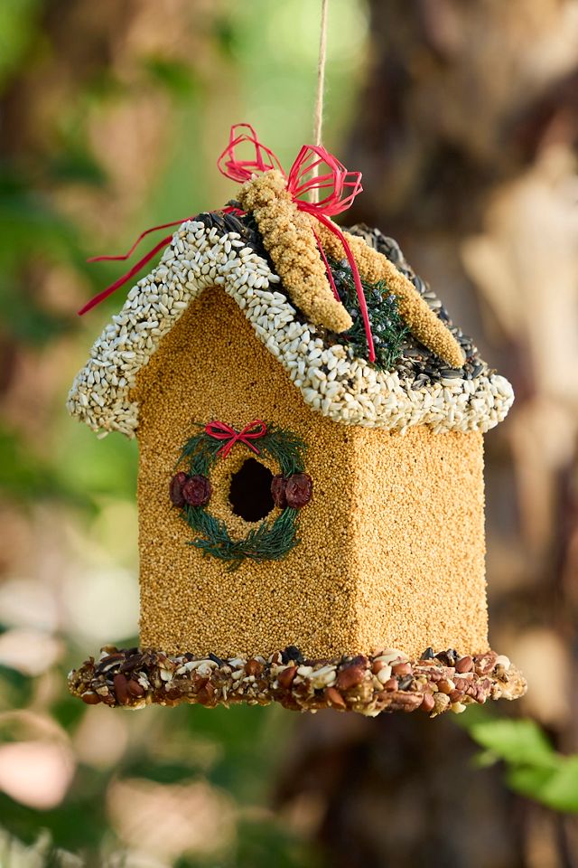 Bird Seed Holiday House #2