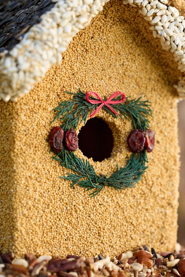 Bird Seed Holiday House #3