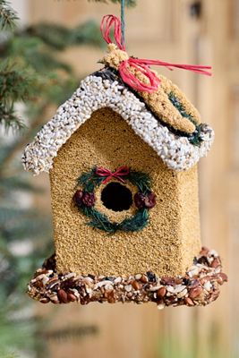 Bird Seed Holiday House
