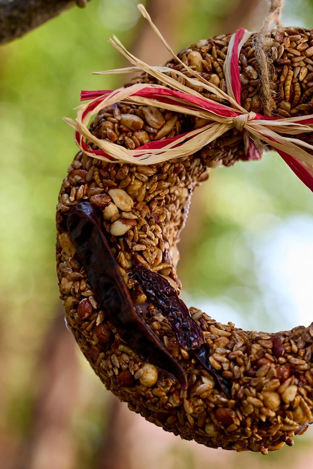 Hot Pepper Squirrel-Resistant Bird Seed Wreath #1