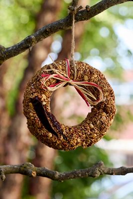 Hot Pepper Squirrel-Resistant Bird Seed Wreath