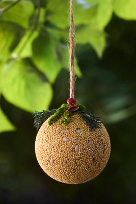 Bird Seed Ornaments, Set of 3