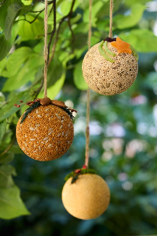 Bird Seed Ornaments, Set of 3 #1