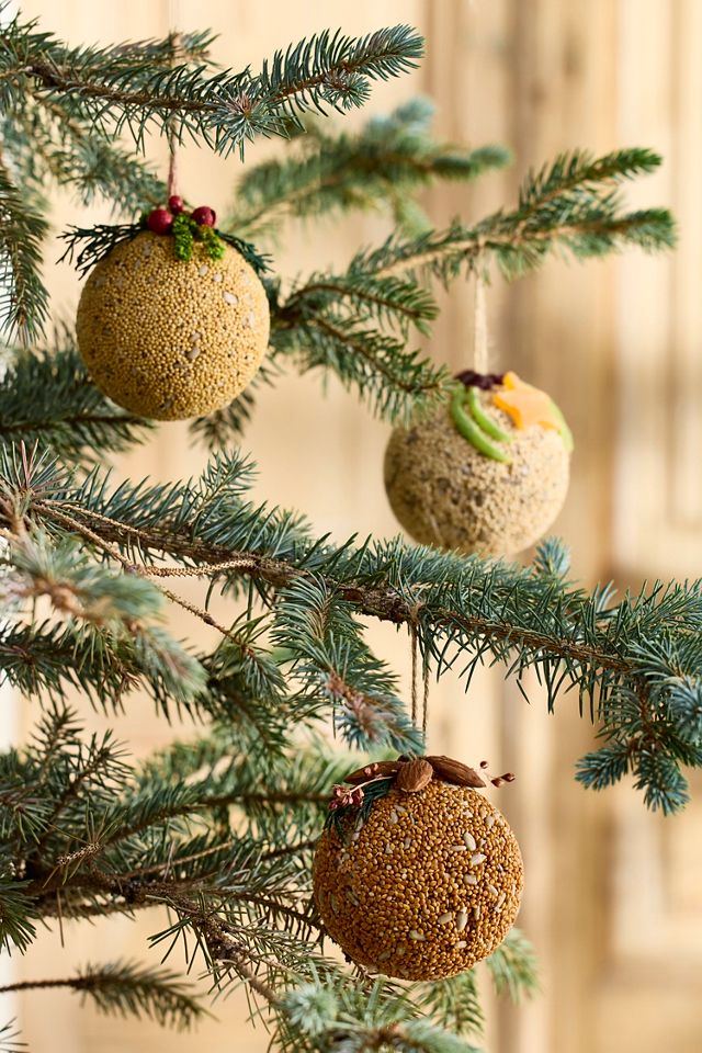 Bird Seed Ornaments, Set of 3 #2