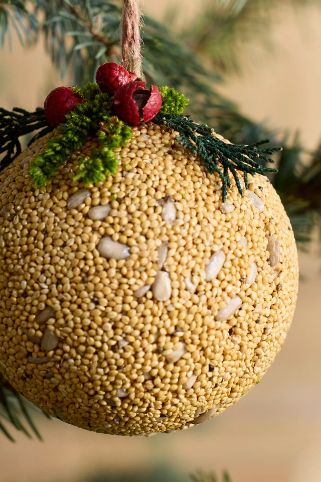 Bird Seed Ornaments, Set of 3 #4