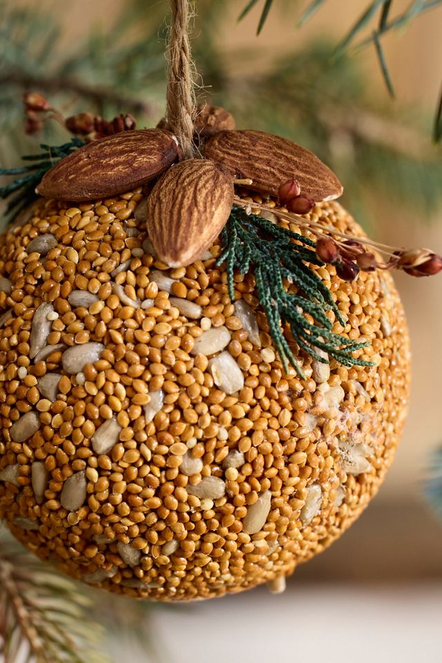 Bird Seed Ornaments, Set of 3 #5