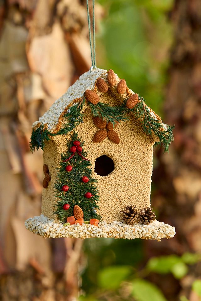 Bird Seed Woodland House #2