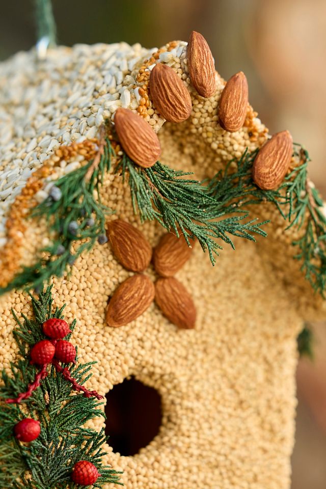 Bird Seed Woodland House #3