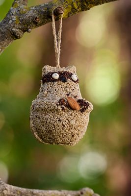 Bird Seed Raccoon