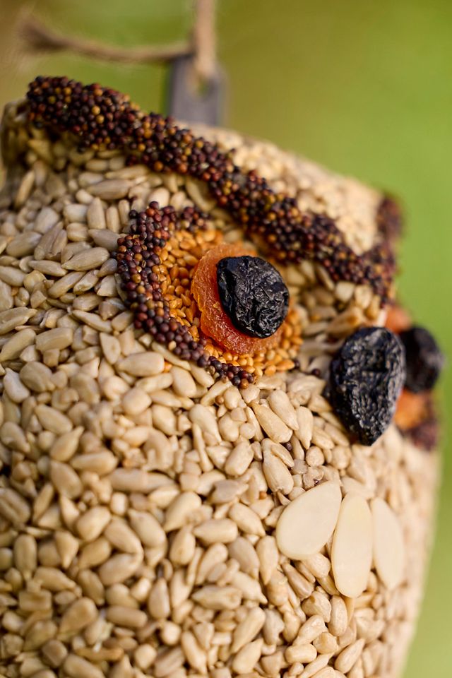 Bird Seed Owl #1