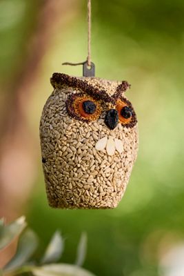 Bird Seed Owl