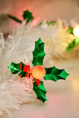 Stargazer Holly Light Reflectors, Set of 24