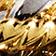 Gold & Silver