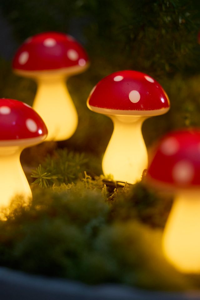 Solar LED Mushroom Stake Light Strand #1