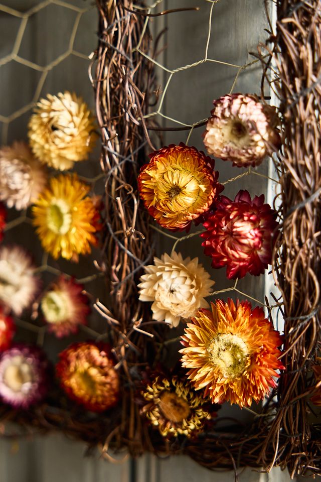 Dried Floral Pumpkin Frame #1