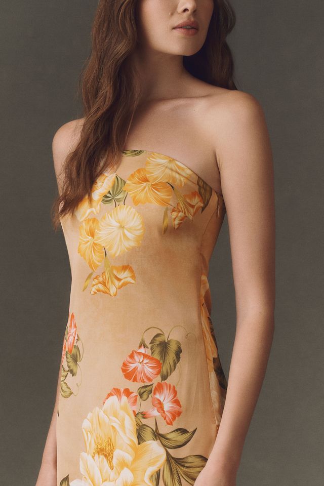 Hutch Elena Maxi Dress #1
